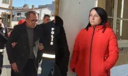 Karı koca sahte diplomadan tutuklandı