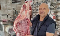 Kermeoğlu milletvekili aday adaylığını düşünüyor