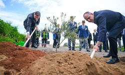 Tugay’ın babası anısına zeytin fidanı