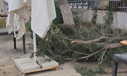 Gazimağusa’da olumsuz hava koşullarının yol açtığı sorunlara belediye müdahale etti