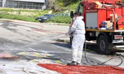 Larnaka’ya bağlı bir köyde yeni şap vakası