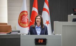 “Tasarruf tedbirleri göstermelik”