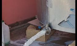 Hayvancı, sütünü yere boşaltıyor