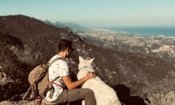 “Bu işin peşini bırakmayacağım”