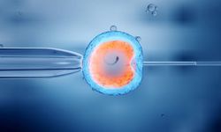 Tüp Bebek Kliniklerinde ‘Sperm Karmaşası’ Skandalı