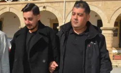 Sahte belgeyle köpek getirdi