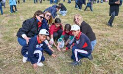 Yeşil Kıbrıs seferberliği