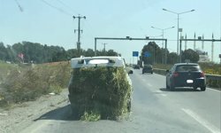 Tehlike geliyorum diyor