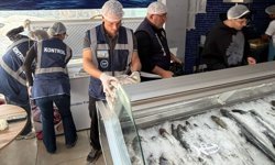 Sağlıksız balıkları satıyorlardı!