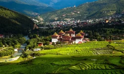 Bu ülkede tek bir trafik lambası ile yok