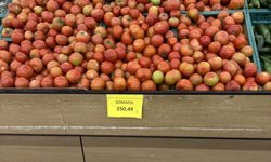 “Domates mi yoksa altın mı?”