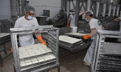 Hellim ihracatındaki engel kalkıyor