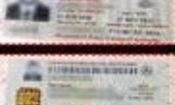 Sahte ehliyet skandalı!