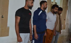 Surlariçi'nde "korna" kavgası