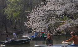 Mart 2026, dünyanın “en sıcak dördüncü” mart ayı oldu