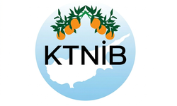 Narenciye İhracatçı Birlikleri: Grev nedeniyle bekletilen ürünler bozulmadan çözüm gerekiyor