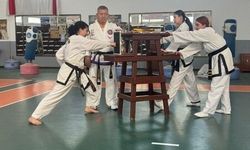 Taekwandocular Federasyonun kuruluşu için kırdılar