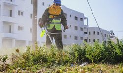 LTB kapsamlı temizlik başlattı