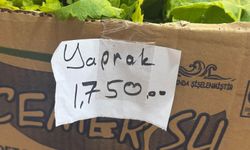 “Asma yaprağı mı altın mı bu mübarek”