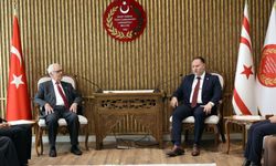 “Geçmişin karanlık sayfalarını yüceltme çabası”