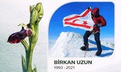 Orkide Vadisi Gözlem Yürüyüşü pazar günü Birkan Uzun anısına yapılacak