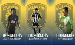 Aslanköy’e üç kartal daha