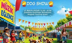 Alagadi’de “BC Pet Food Pet Festivali” heyecanı yaşanacak
