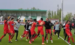 Amed Sportif Faaliyetler Süper Lig'de