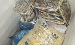 Tüketime uygun olmayan 16 kg balık imha edildi