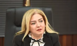 “Eğmez, 1992’den beri taşınmazı izinsiz kullanıyor”