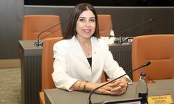 Altuğra bağımsız milletvekili oldu