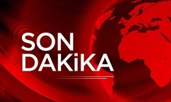 Trafiğe bir kurban daha