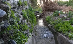 Balkondan düşen kadın su kanalında hayatını kaybetti