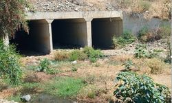 Lefke Çevre Derneği fosseptik sorununa çözüm istedi