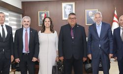 Berova, Vodafone Türkiye ve Telsim heyetini kabul etti