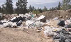Çevre Günü’nde acı tablo