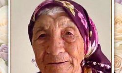 Lapta, asırlık çınarını kaybetti