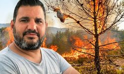 Ormanlar için korkutan uyarı