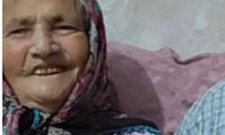 Türüt ailesi çınarına ağlıyor
