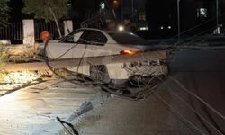 Yoldan çıkıp direğe çarptı
