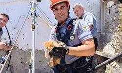 Minik can, sağ salim kurtarıldı