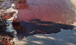 Mezbaha yolu kan gölüne döndü