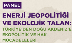 CTP Kadın Örgütü’nden “Enerji Jeopolitiği ve Ekolojik Talan” konferansı