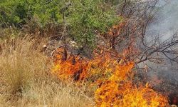 Taşkent’le Güngör arasındaki yangın korkuttu