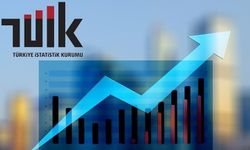 TÜİK: Ekonomi yılın ilk çeyreğinde yüzde 2,5 büyüdü