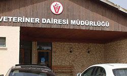 Veteriner Dairesi: “Gazimağusa Belediye Mezbahası’nda ciddi eksiklikler tespit edildi”