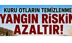 Biyologlar Derneği: “Kuru otların ve yanıcı bitki örtüsünün düzenli temizlenmesi hayati önem taşıyor”