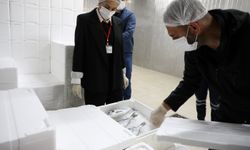 775 ürün müsadere edildi