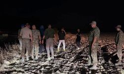 400 dönüm kül oldu