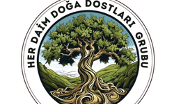 Yeniboğaziçi Salamis Sulak Alanı'nda temizlik yapılacak